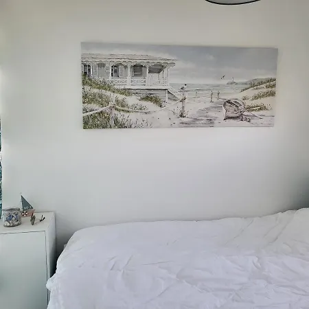 Morski Konik فيلة *