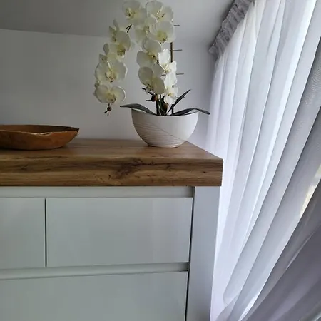 فيلة Morski Konik *