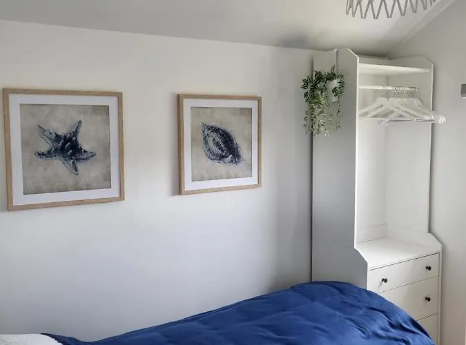 Morski Konik * Zizow